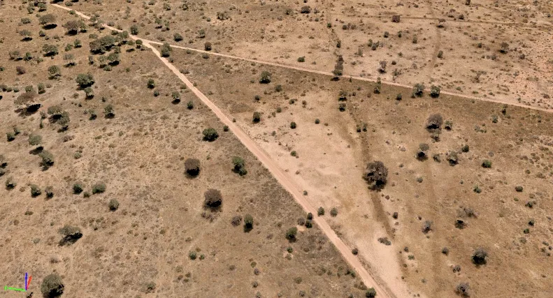 Deforestation